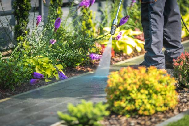 Best Parking Lot and Garage Cleaning  in Lake Darby, OH