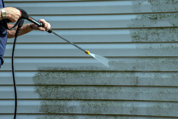 Pre-Holiday Cleaning in Lake Darby, OH